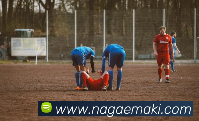 奖项证书